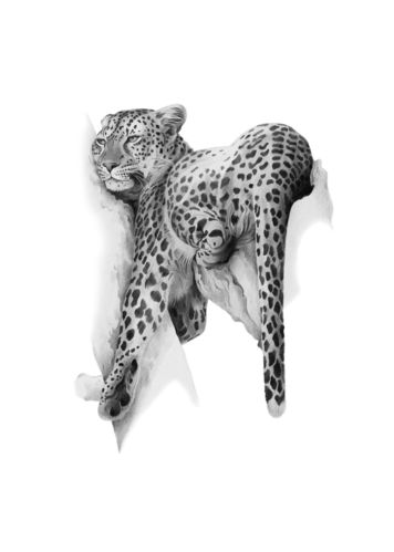 Edition "Leopard - Geist der Savanne"