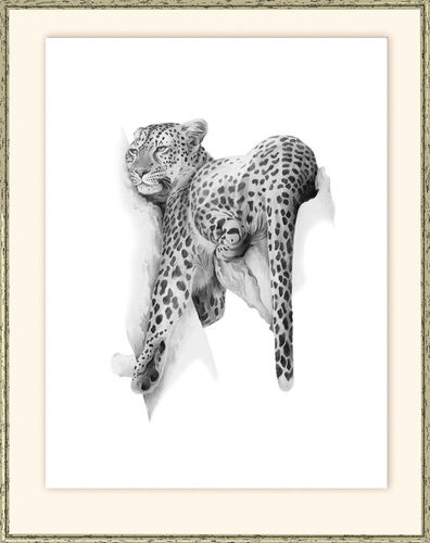 Edition "Leopard - Geister der Savanne" komplett gerahmt